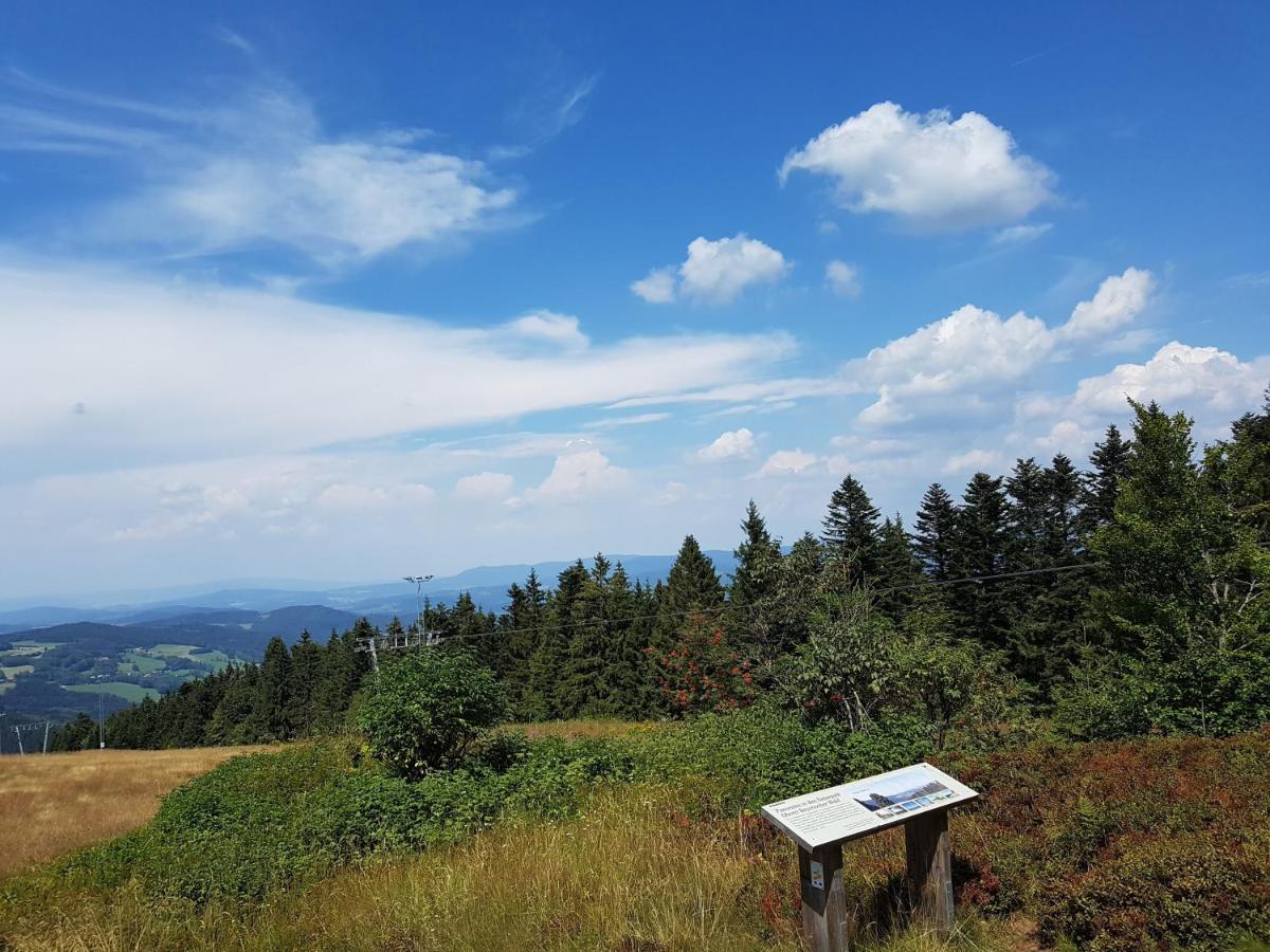 Traumurlaub Im Bayerische Wald Sankt Englmar Eksteriør bilde