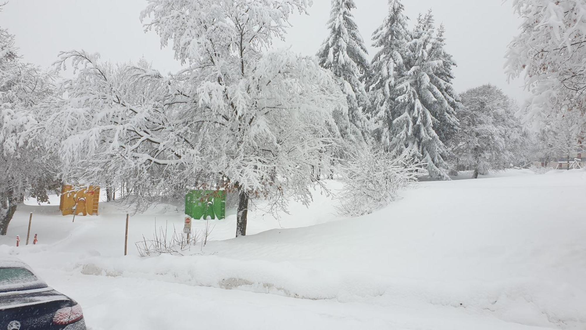 Traumurlaub Im Bayerische Wald Sankt Englmar Eksteriør bilde
